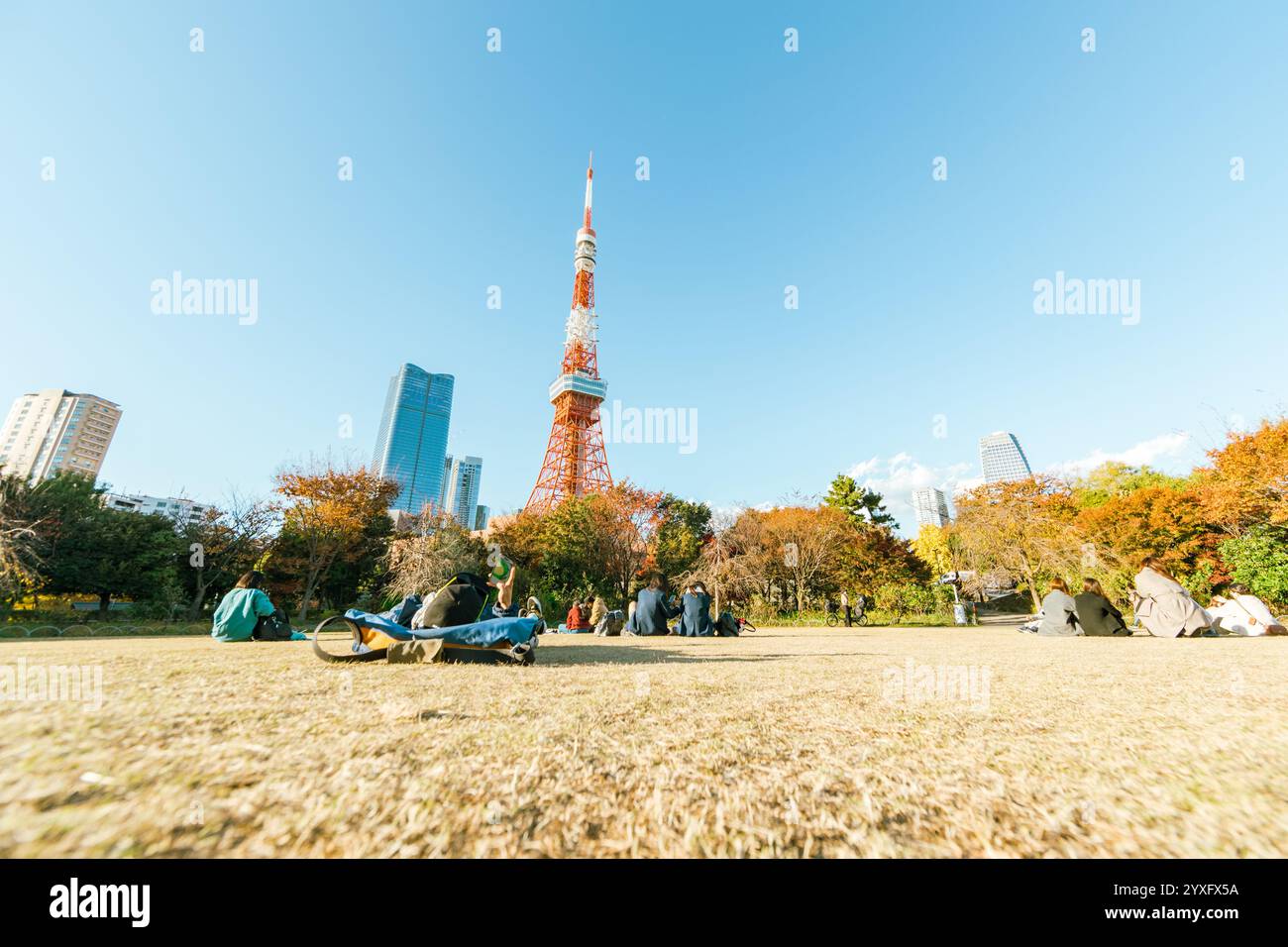 Tokyo Tower im Shiba Park, Tokio, Japan Stockfoto