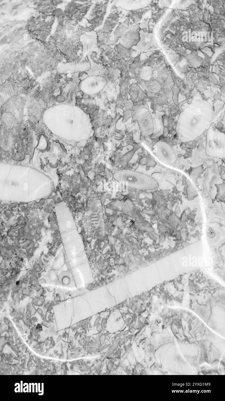 Polierte weiße Kalksteinstruktur, vertikales Hintergrundfoto. Calciumcarbonat, eine Art von Karbonatsedimentgestein, das die Hauptquelle des m ist Stockfoto