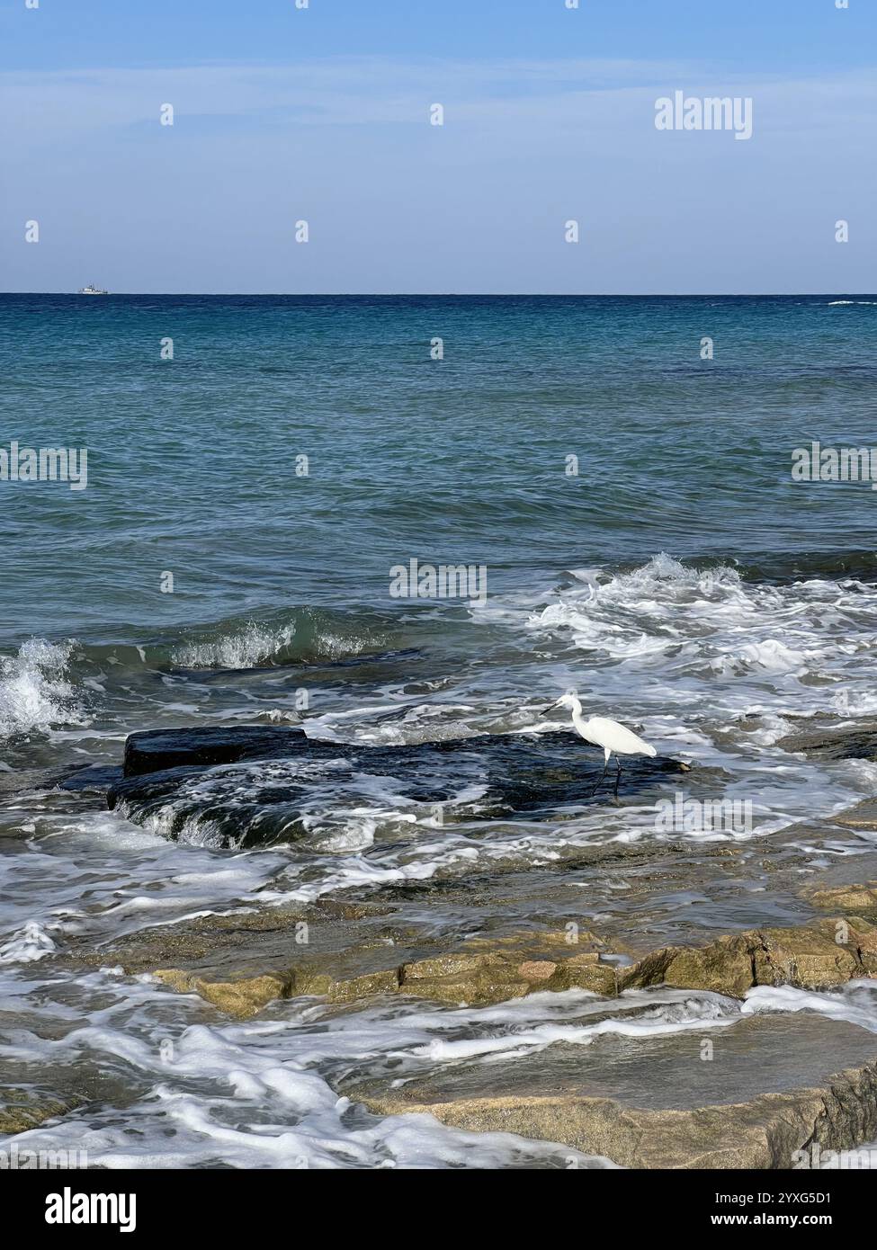 Ein atemberaubender und ruhiger Blick auf die Küste mit sanften Wellen, die gegen felsige Küsten krachen Stockfoto