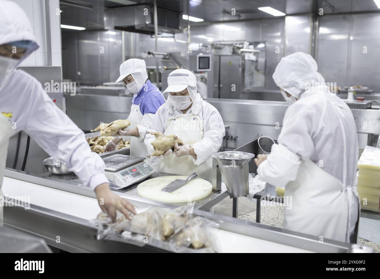 Herstellung von gesalzenen Enten in der Fabrik von Nan Jing Ying Tao Yo Co. Ltd., für den Verbrauch in Restaurants, aber auch für den Verkauf als haltbare Produkte und als s Stockfoto