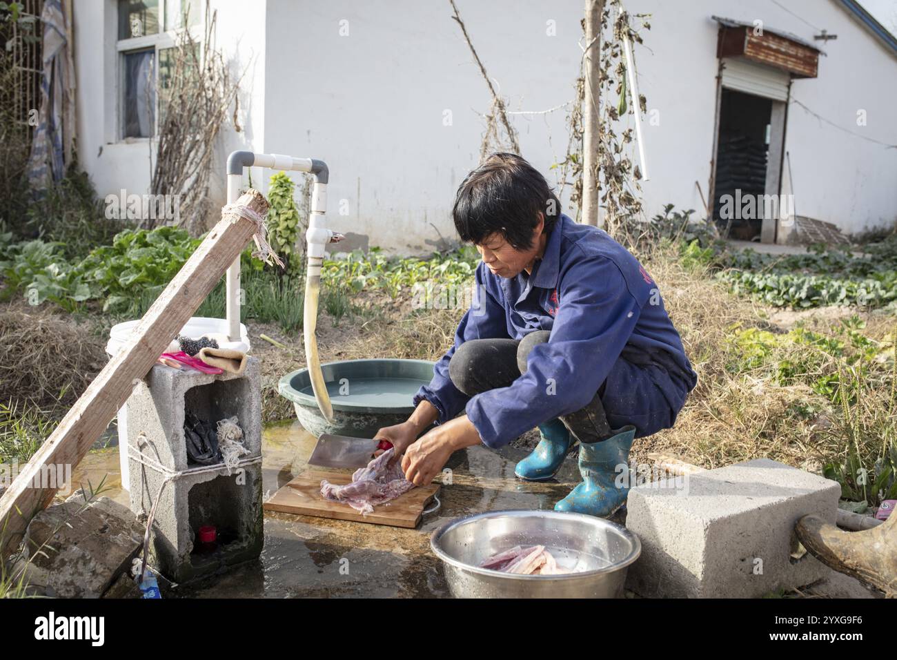Lu Jua Ling bereitet eine Ente für ihre Kollegen zu essen, das Duck Breeding Centre Jiang Su Xiang GUI Breeding Co. Ltd, Xiang Shui County, China, Asien Stockfoto