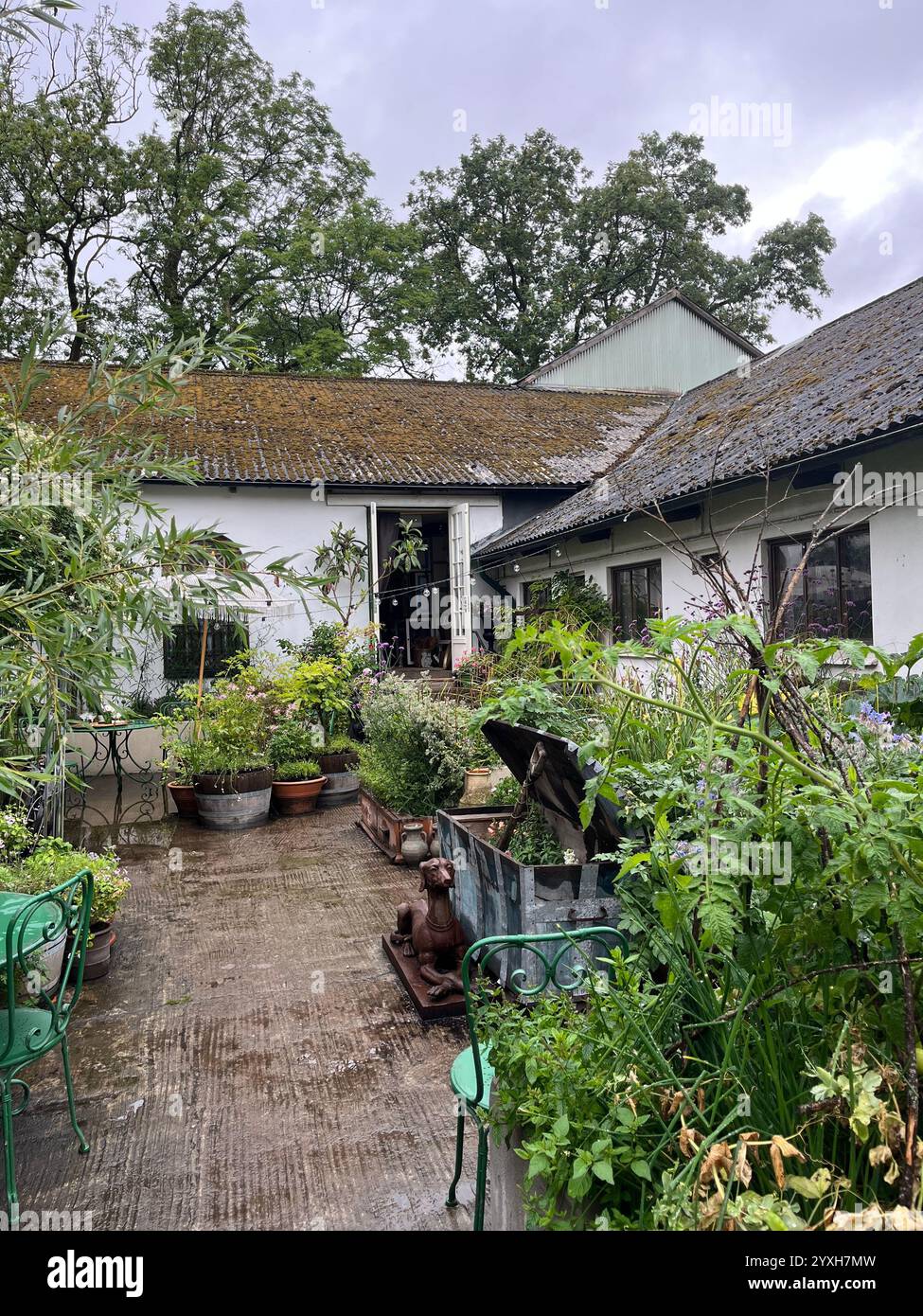 Viele grüne Pflanzen auf einem Hof mit einigen weißen Häusern. Foto aufgenommen in Österlen, Skåne, Schweden 1. August 2023 Stockfoto