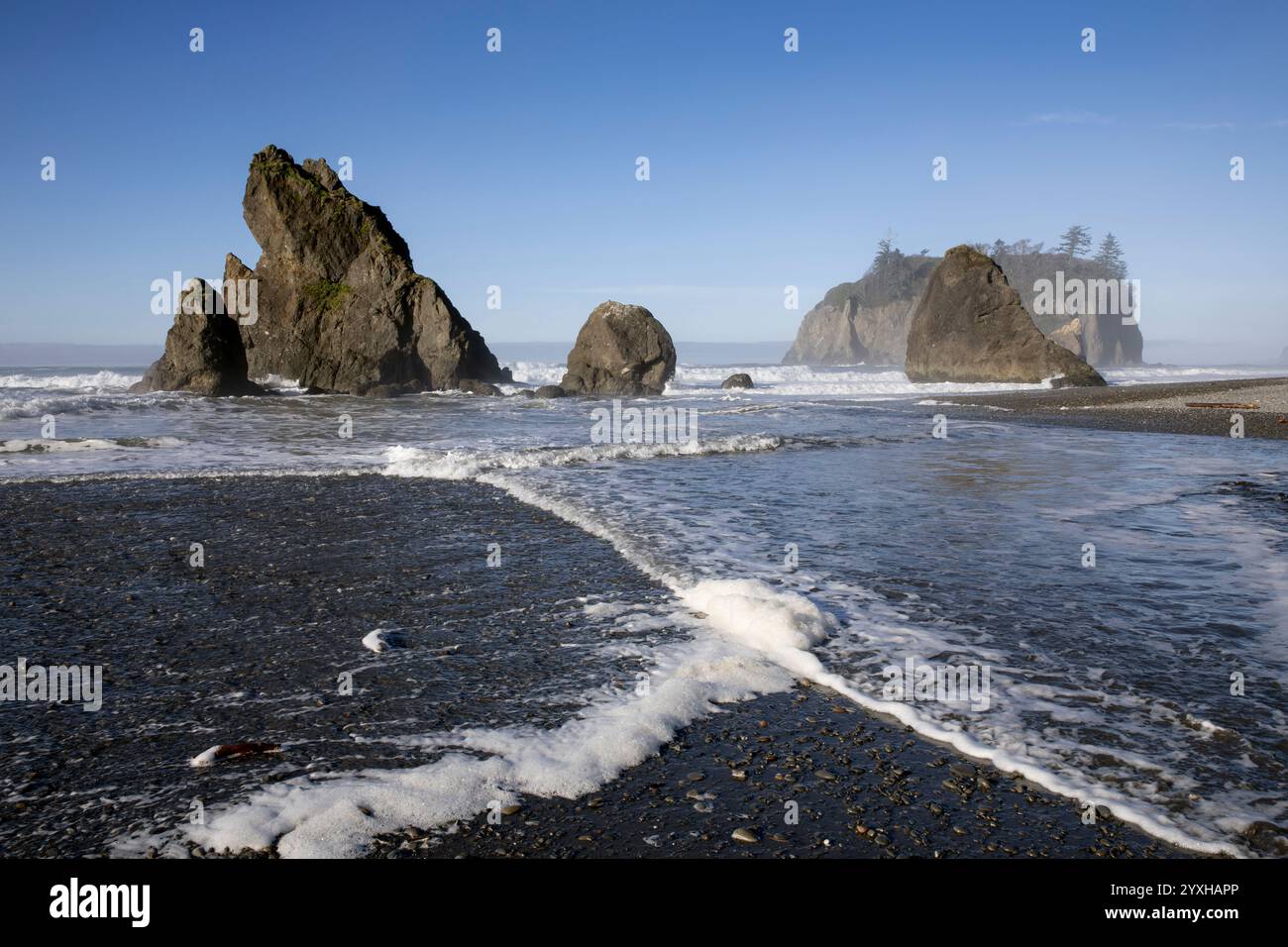 WA26299-00...... WASHINGTON - Flut am Ruby Beach, Olympic National Park. Stockfoto