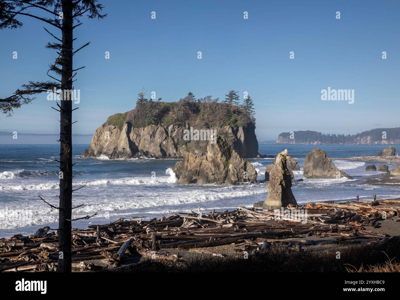 WA26305-00...... WASHINGTON - Ruby Beach, Olympic National Park. Stockfoto