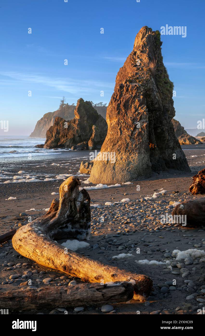 WA26308-00...... WASHINGTON - Ruby Beach, Olympic National Park. Stockfoto
