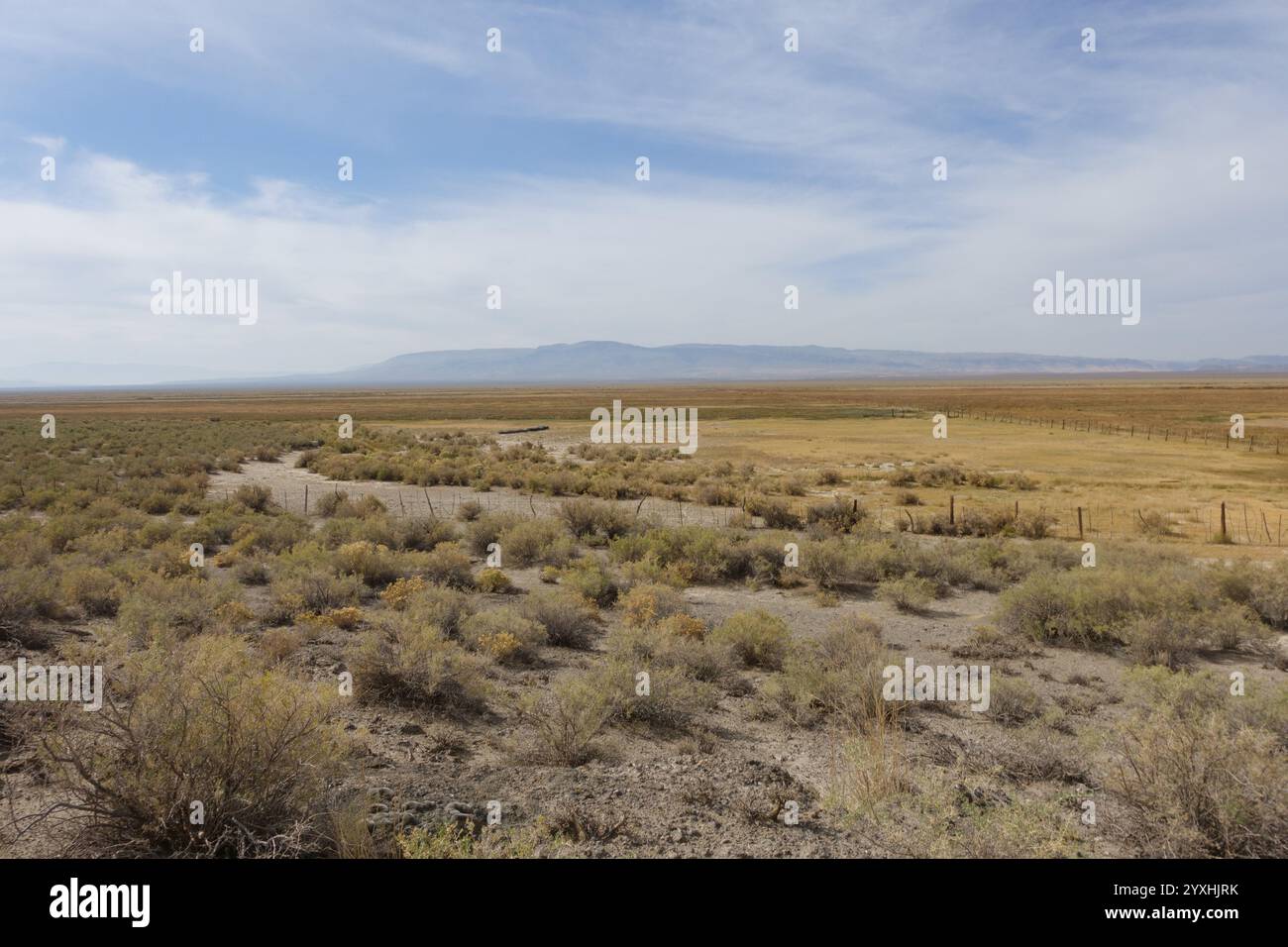 Öffentliches Land ist für mögliche Verkäufe auf Bundesebene offen Stockfoto