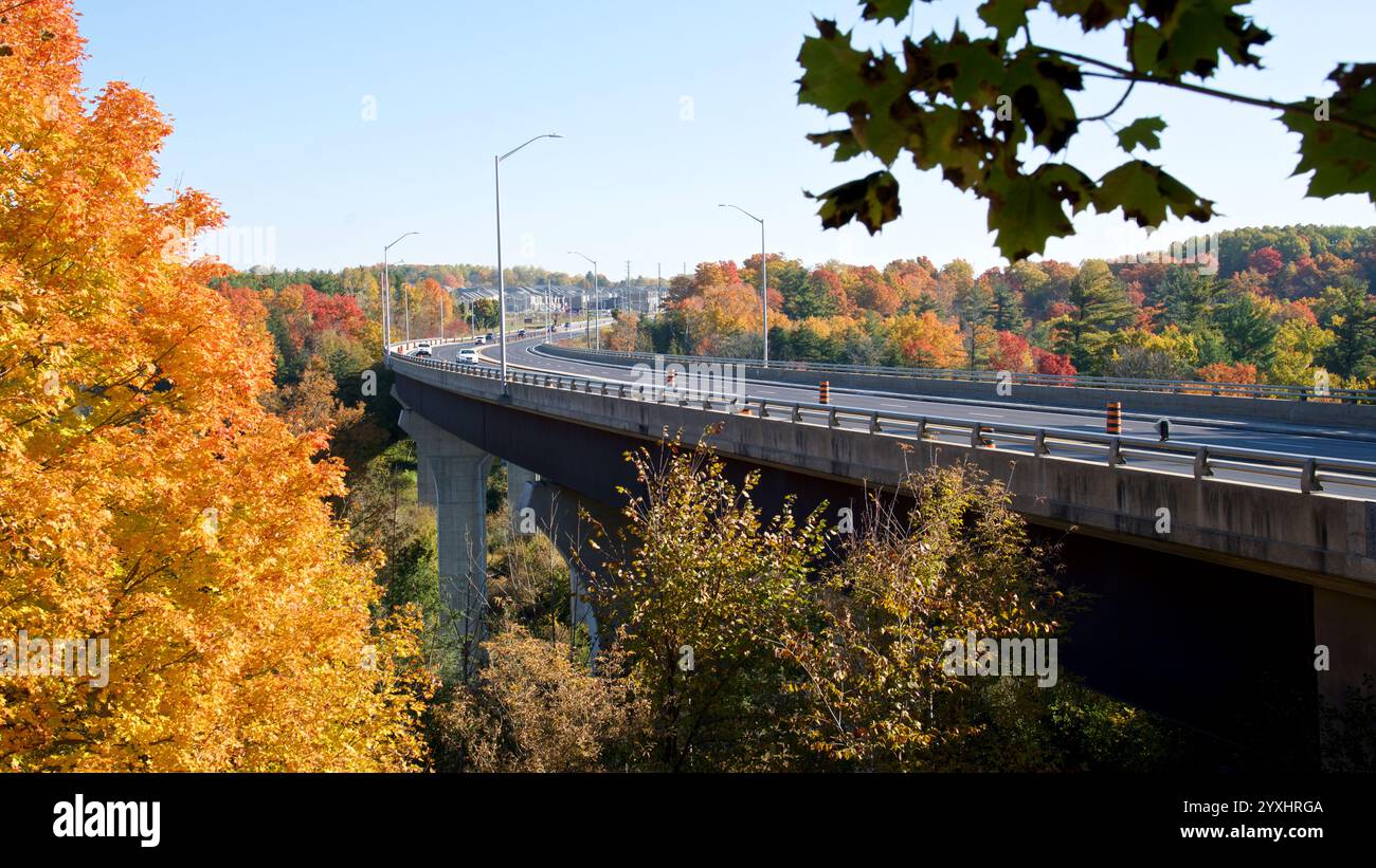 Blick auf die Autobahnbrücke im Herbst Stockfoto