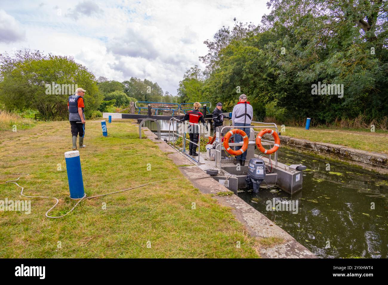 Taucher entfernen schwimmende Pennykraut aus dem Fluss Blackwater und Chelmer am Beeleigh Lock Maldon Essex Stockfoto