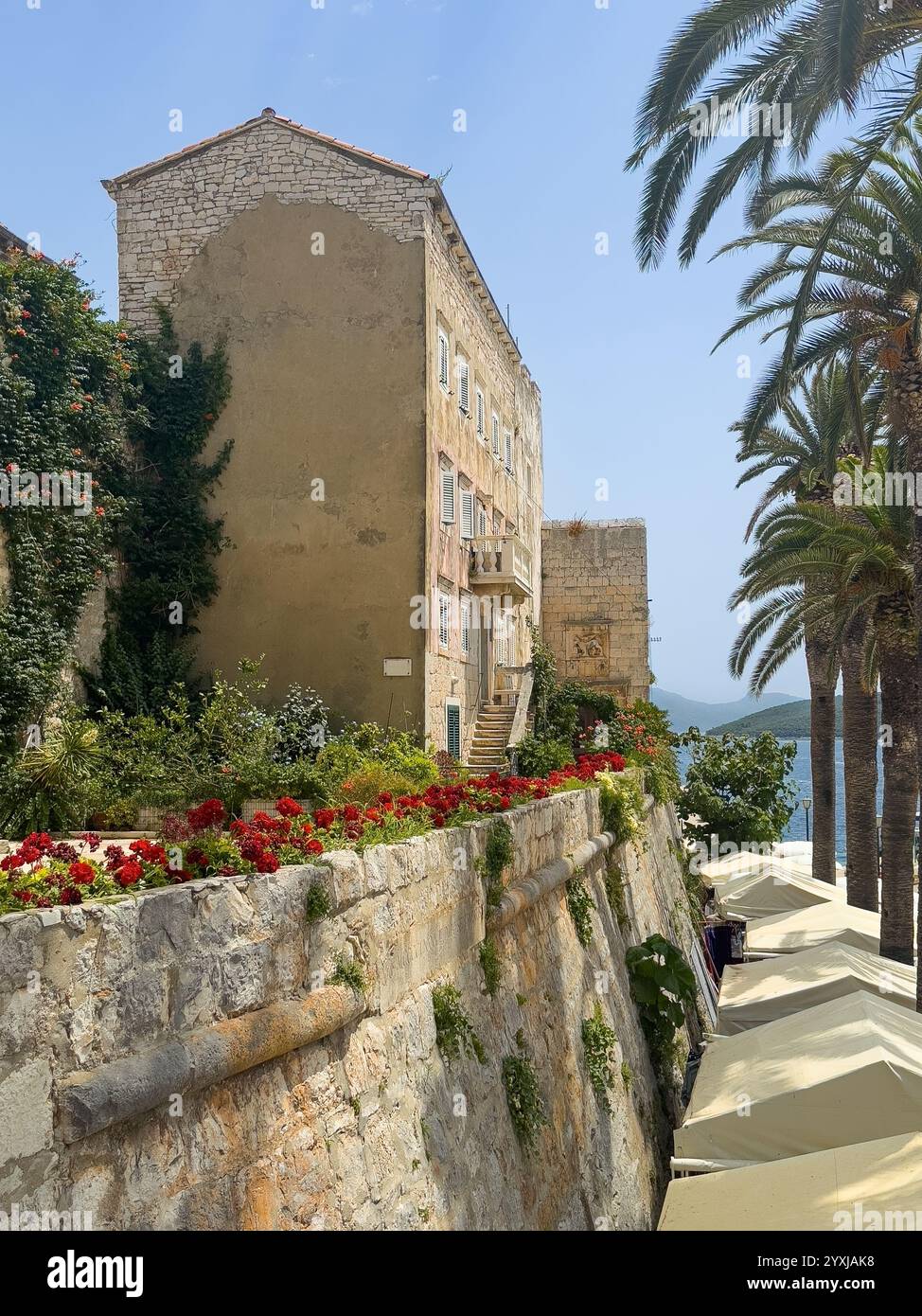 Korcula, Kroatien - 30. Juni 2024: Blick nach Osten entlang der Stadtmauer und Palmenlinie von Rampada bis zum Meer. Hohes Apartmentgebäude mit roten Blumen Stockfoto