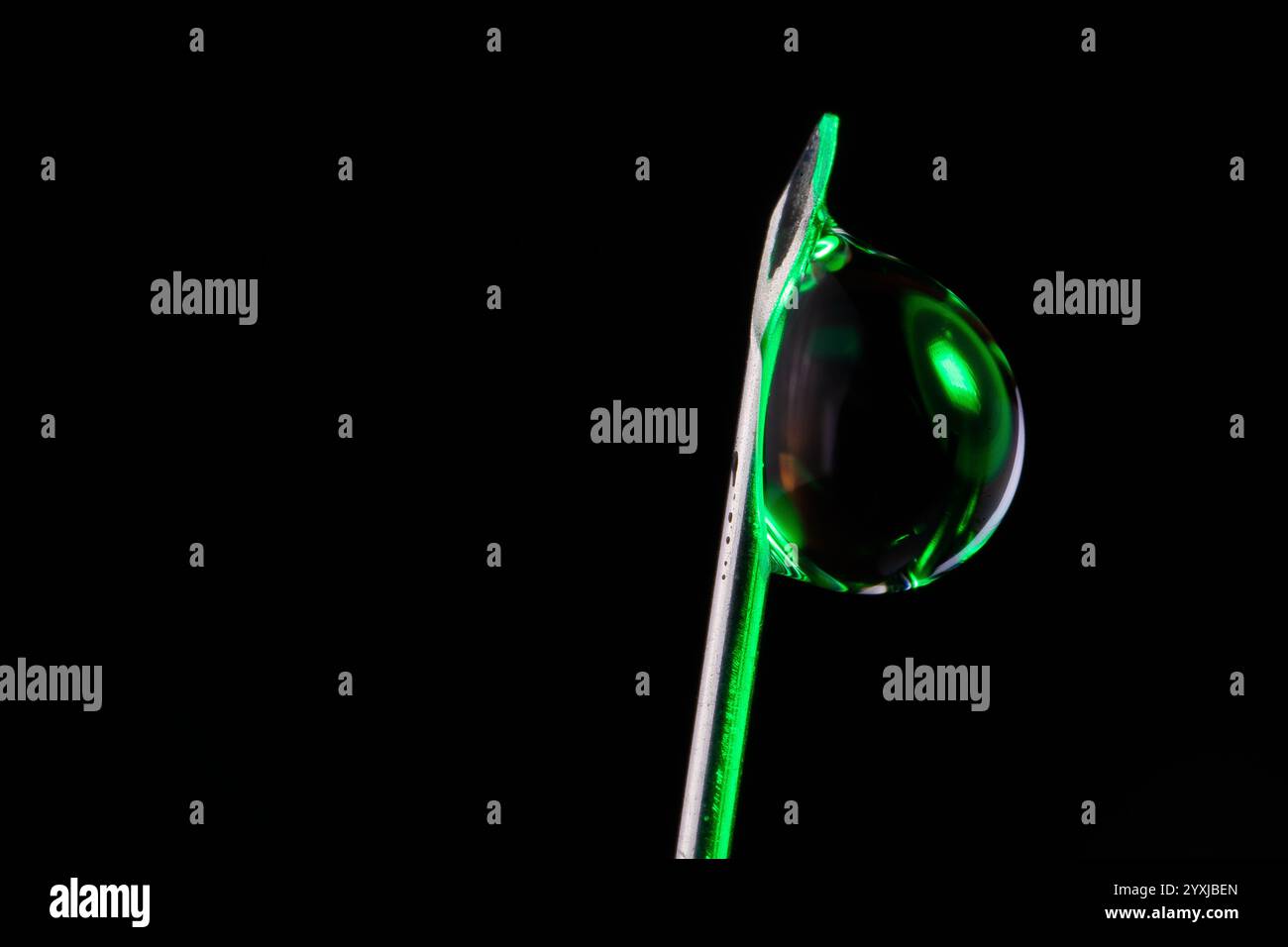 Makrophotographie eines Wassertropfens, der an der Spitze der Spritzennadel befestigt ist. Mit grünem Licht, das auf den Wassertropfen leuchtet Stockfoto