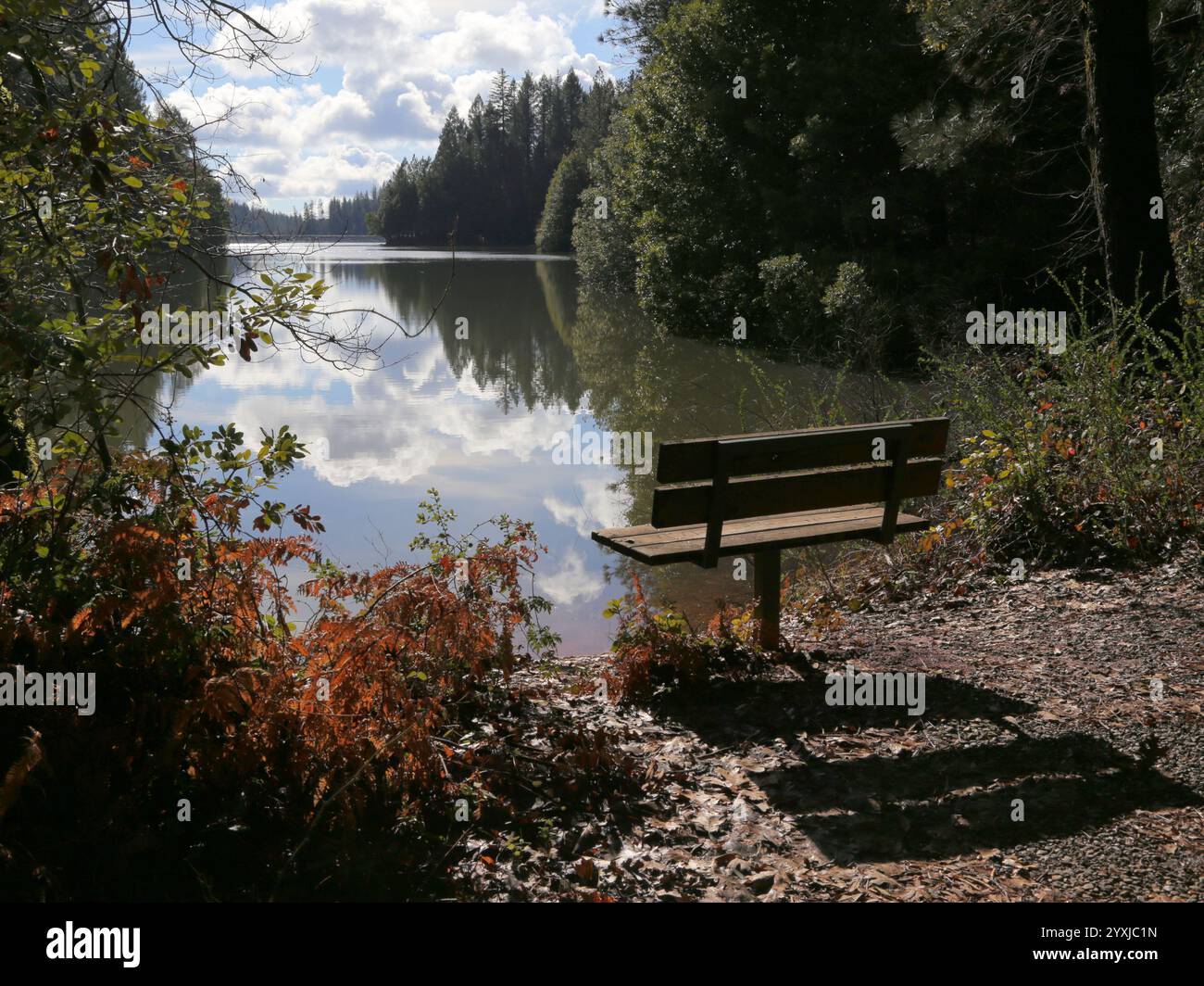 Parkbank am Ufer des Paradise Lake. Stockfoto