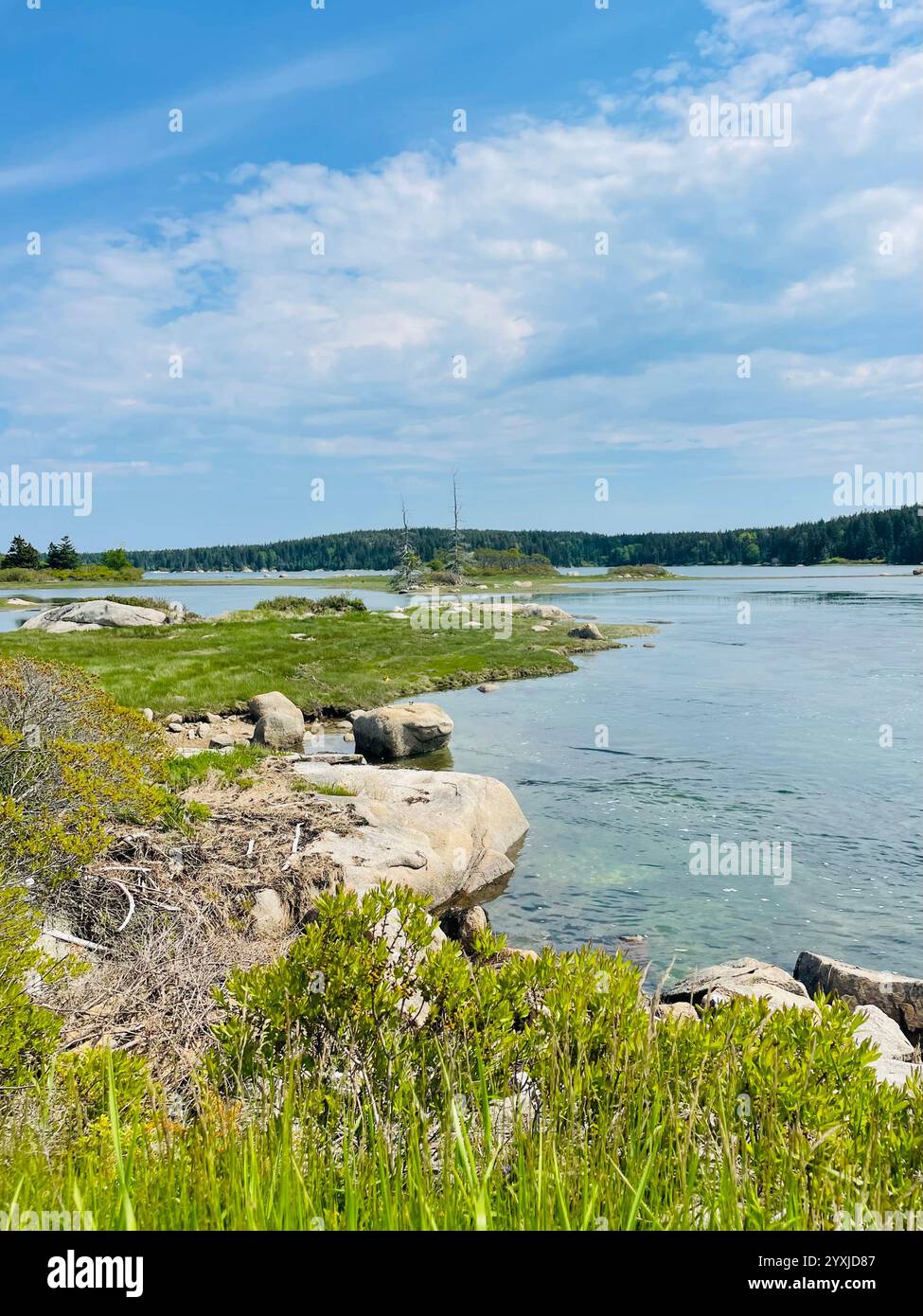 Maine-Landschaft - Smartphone-aufgenommenes Stockfoto