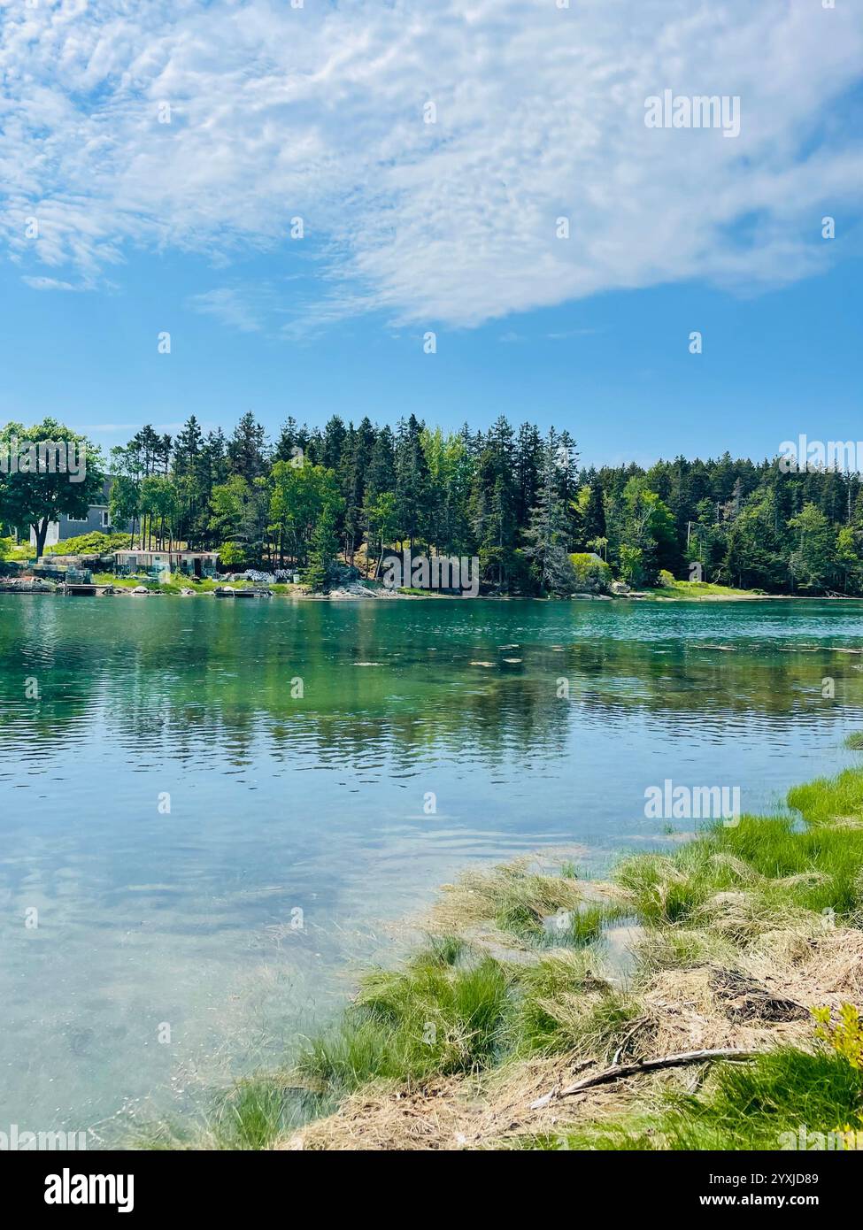 Maine-Landschaft - Smartphone-aufgenommenes Stockfoto