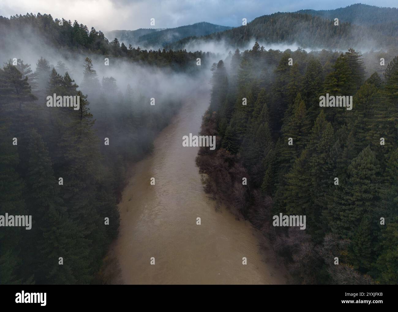 Die zerklüftete und dramatische Waldlandschaft Nordkaliforniens mit einem schlammigen Fluss, der durch die Wildnis und Mammutbäume fließt. Stockfoto