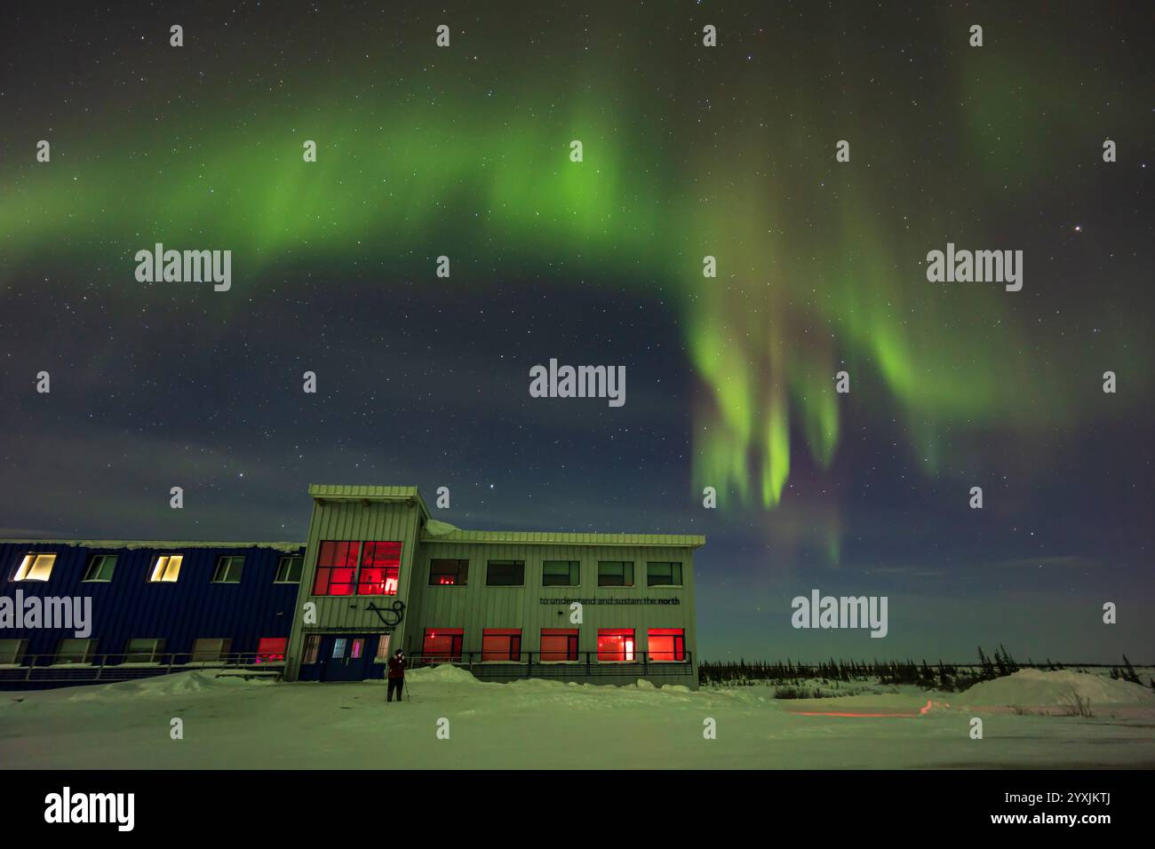 Auroralvorhänge über dem Churchill Northern Studies Centre, Manitoba, Kanada. Stockfoto