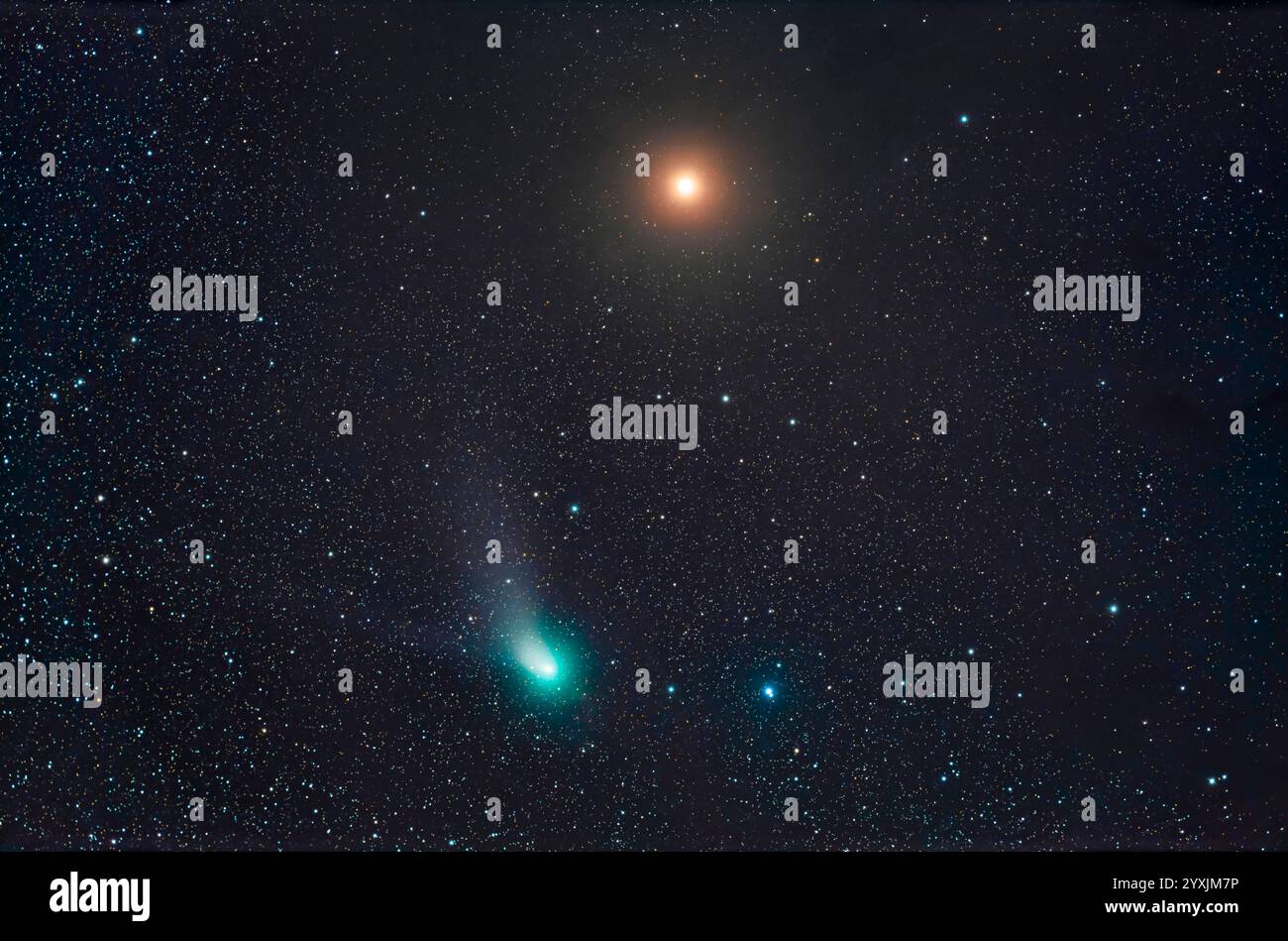 Der berüchtigte grüne Komet C/2022 E3 (ZTF), der im Stier am rötlichen Mars vorbeizieht. Stockfoto