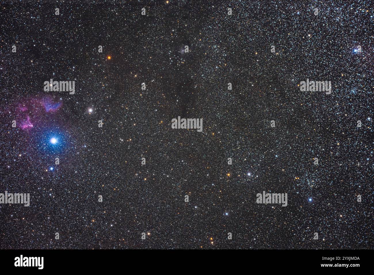 Blick in der Nähe des hellen Sterns Gamma Cassiopeiae mit IC 63 und IC 59 über dem hellen Stern. Stockfoto