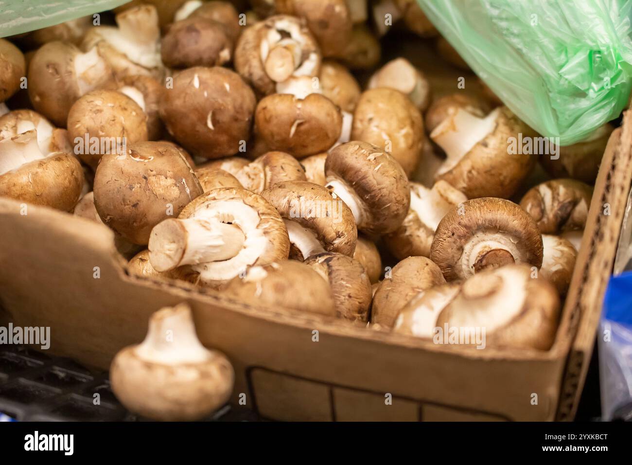 Ein Blick auf eine Kiste voller Kriminalpilze, im Supermarkt. Stockfoto