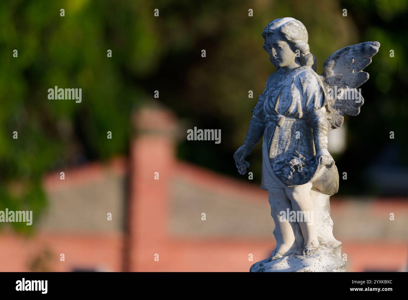 Steinskulptur oder Statue eines Kinderengels oder Cherubs, die Blumen auf einem Friedhof fallen lassen, teilweise sonnenbeleuchtet am späten Tag Stockfoto