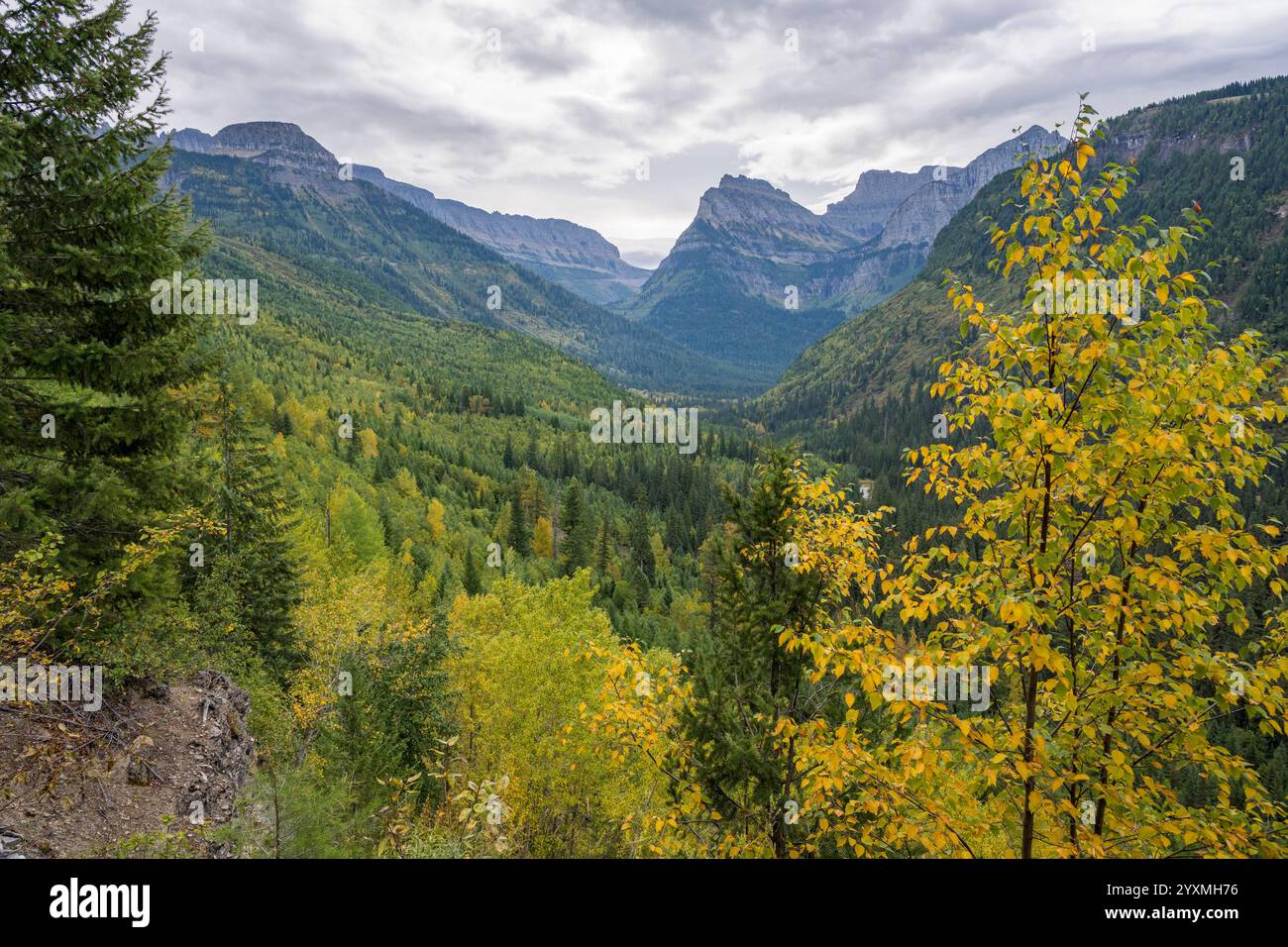 Blick von Going to the Sun Road im Herbst, Glacier National Park, Montana, USA Stockfoto