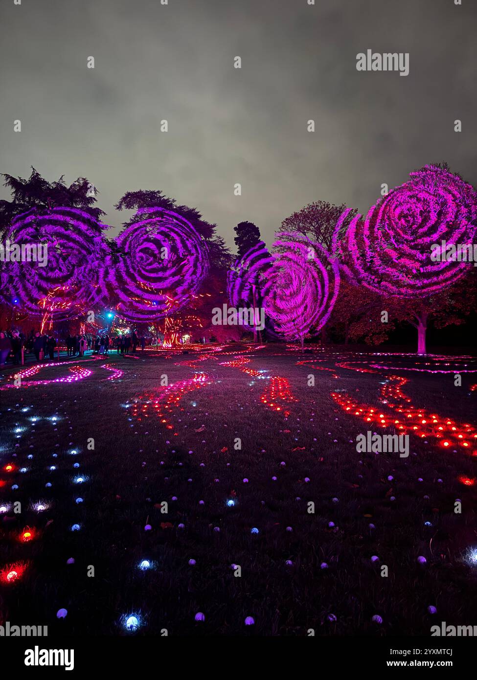 Weihnachtsbeleuchtung in Kew Gardens, London, Großbritannien Stockfoto