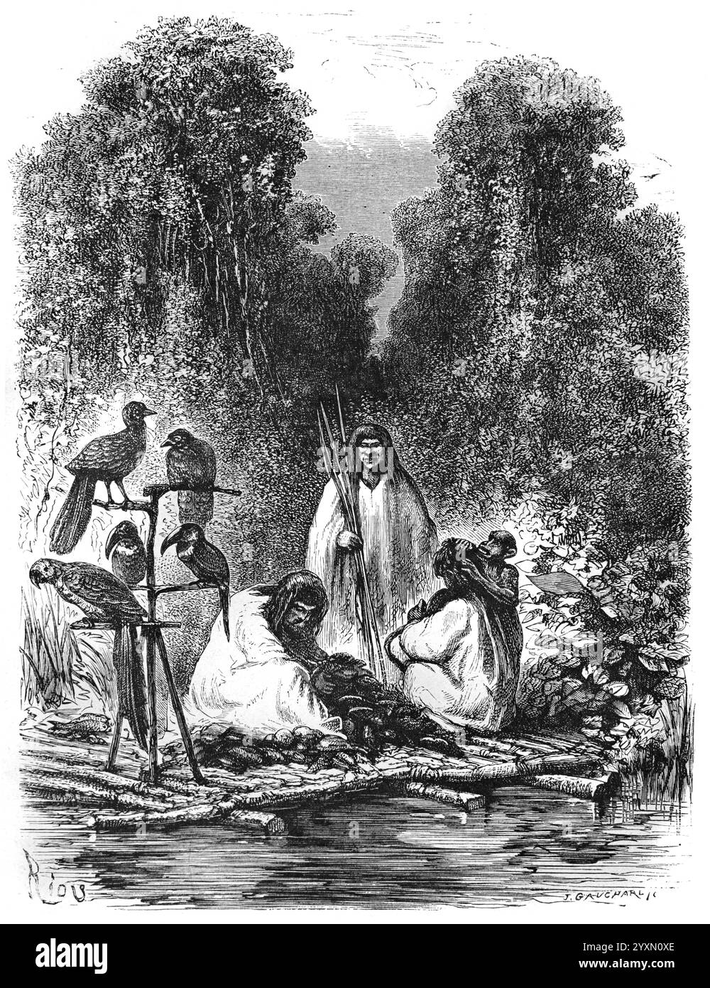 Gruppe von Anti- oder Antis-Indianern auf Flussfloß mit Haustieren oder zähmen Vögeln, einschließlich Papageien in den Regenwäldern von Peru und Brasilien, Amazonas, Südamerika. Anti ist ein Inka-Name für die indigenen Ashaninka oder Ashaninka aus dem Amazonaswald. Vintage oder historische Gravur oder Illustration 1864. Stockfoto