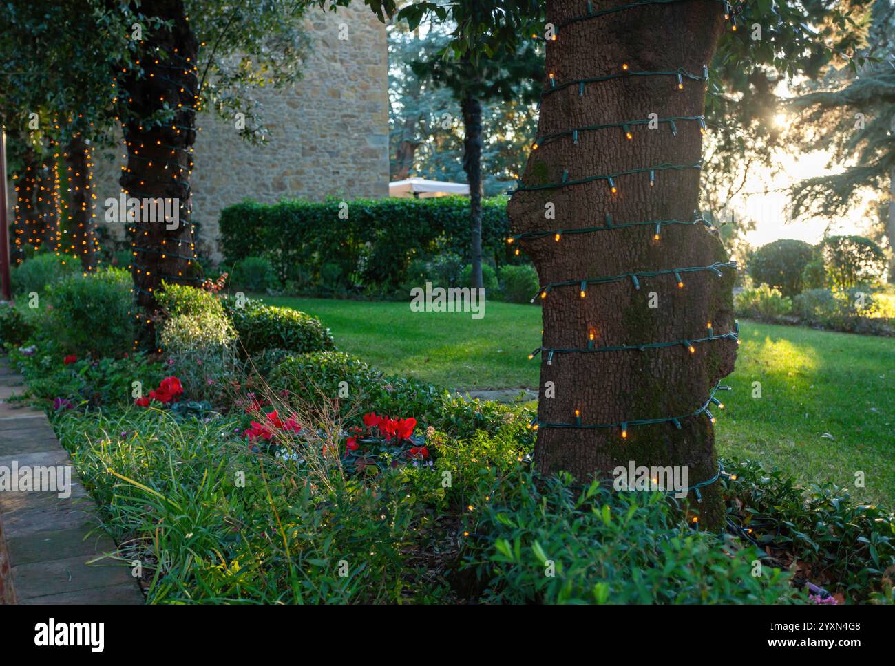 Lichterketten beleuchten Bäume bei Sonnenuntergang in einem wunderschönen Garten und schaffen eine magische und festliche Atmosphäre Stockfoto