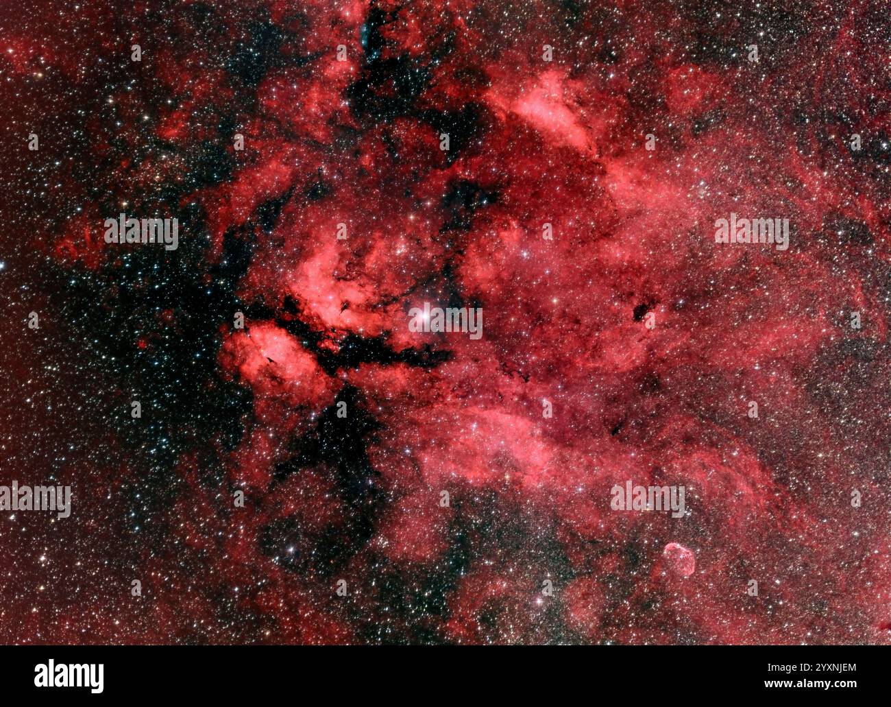 Sadr-Region im Cygnus-Sternbild. Stockfoto