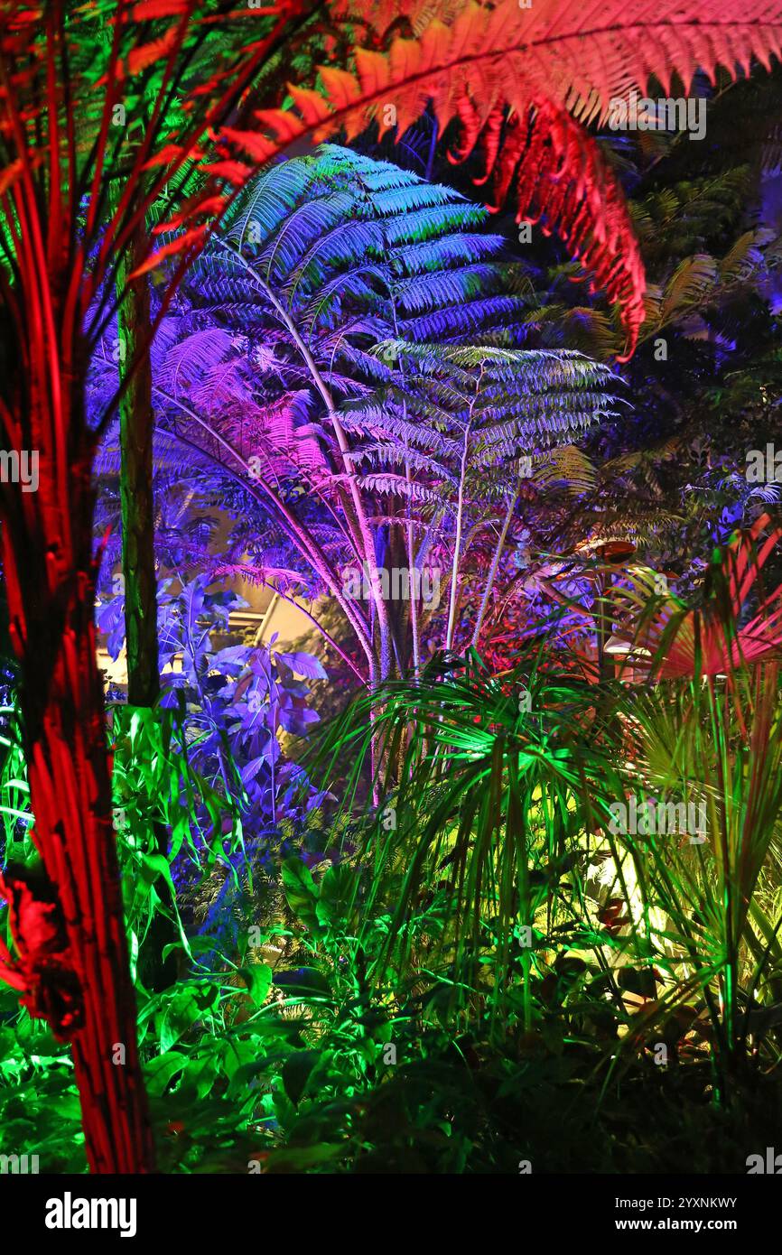 Gemäßigte Zone, Glasshouse, Glow 2024, RHS Garden Wisley, Woking, Surrey, England, Großbritannien, Vereinigtes Königreich, Vereinigtes Königreich, Europa Stockfoto