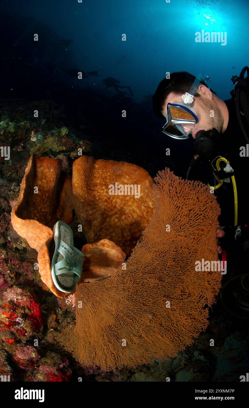 Taucher beobachtet eine entsorgte Sandale in einem orangen Schwamm, Manado, Nord-Sulawesi, Indonesien. Stockfoto