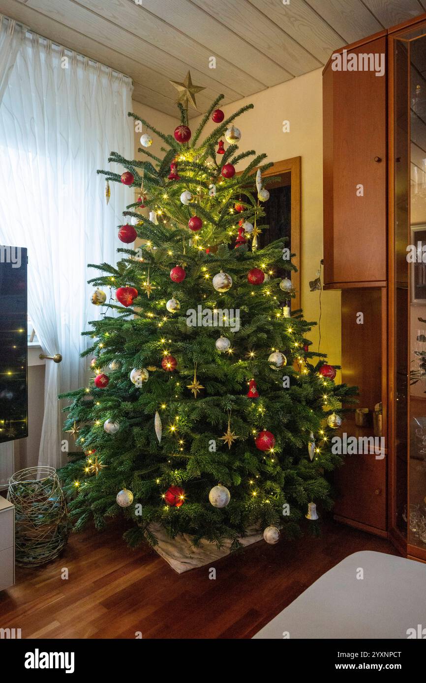 Weihnachten, festlich dekorierter und geschmueckter Weihnachtsbaum in einem Wohnzimmer, Christbaumkugeln, Weihnachtssterne, Deutschland, Oberhausen, Oberhausen-Sterkrade, Ruhrgebiet, Niederrhein, Nordrhein-Westfalen Weihnachten, festlich dekorierter und geschmueckter Weihnachtsbaum in einem Wohnzimmer, Christbaumkugeln, Weihnachtssterne, Deutschland, Oberhausen, Oberhausen-Sterkrade, Niederrhein, Ruhrgebiet, Rheinland, Nordrhein-Westfalen, NRW, Weihnachten, Adventszeit, festlich geschmückter Weihnachtsbaum im Wohnzimmer, Weihnachtsglitzerkugeln, Weihnachtssterne, Deutschland, Oberhausen, Oberhausen- Stockfoto