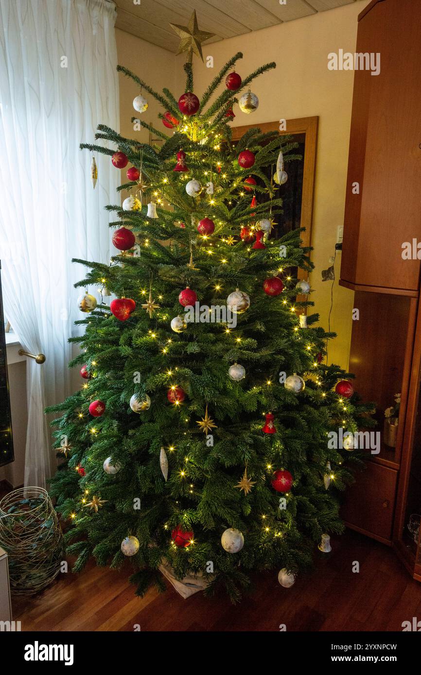 Weihnachten, festlich dekorierter und geschmueckter Weihnachtsbaum in einem Wohnzimmer, Christbaumkugeln, Weihnachtssterne, Deutschland, Oberhausen, Oberhausen-Sterkrade, Ruhrgebiet, Niederrhein, Nordrhein-Westfalen Weihnachten, festlich dekorierter und geschmueckter Weihnachtsbaum in einem Wohnzimmer, Christbaumkugeln, Weihnachtssterne, Deutschland, Oberhausen, Oberhausen-Sterkrade, Niederrhein, Ruhrgebiet, Rheinland, Nordrhein-Westfalen, NRW, Weihnachten, Adventszeit, festlich geschmückter Weihnachtsbaum im Wohnzimmer, Weihnachtsglitzerkugeln, Weihnachtssterne, Deutschland, Oberhausen, Oberhausen- Stockfoto