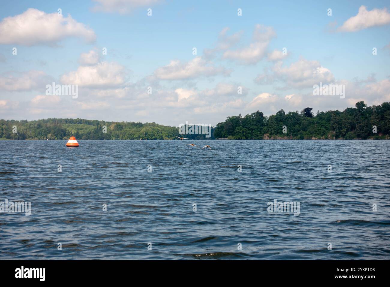 Ein großer Wasserkörper mit einer roten Boje, die darauf schwimmt. Das Wasser ist ruhig und klar Stockfoto