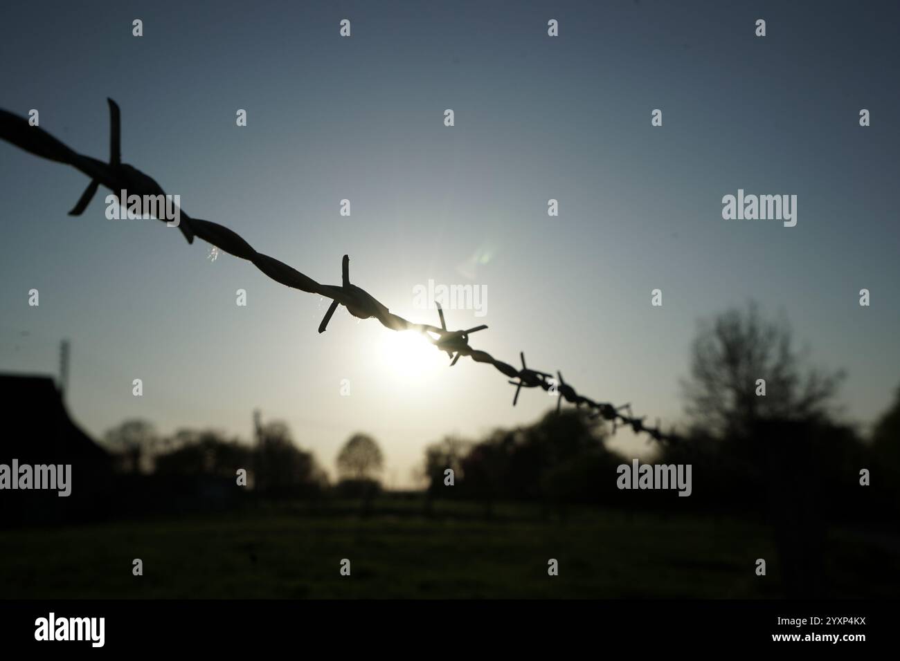 Ein Drahtzaun, durch den die Sonne scheint. Die Sonne ist mitten im Zaun und wirft einen Schatten auf den Boden. Der Zaun ist lang und dehnt acr aus Stockfoto