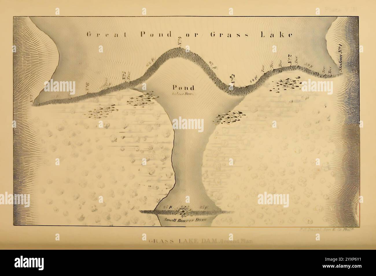 Der amerikanische Biber und seine Werke. Philadelphia, J. B. Lippincott & Co, 1868 Beavers, Woodshole, Eine detaillierte Abbildung des Grass Lake und seiner umliegenden Landschaft. Das Bild hebt die Konturen des Landes und die Form des Sees hervor und weist auf verschiedene Merkmale wie Teiche und Gebiete mit dichter Vegetation hin. Konturlinien deuten auf Höhenänderungen und die Gesamttopographie der Region hin. Die Kennzeichnung enthält „Grasteich“ und Details zu Tiefen, was auf geografische und hydrologische Merkmale hinweist. In der Umgebung gibt es kleine Baumgruppen oder Sträucher, die für eine Fortsetzung sorgen Stockfoto