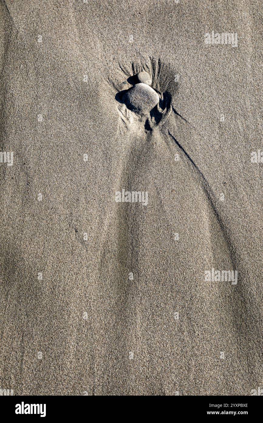 WA25954-00...WASHINGTON - Kieselsteine im Sand am Second Beach an der Pazifikküste im Olympic National Park. Stockfoto