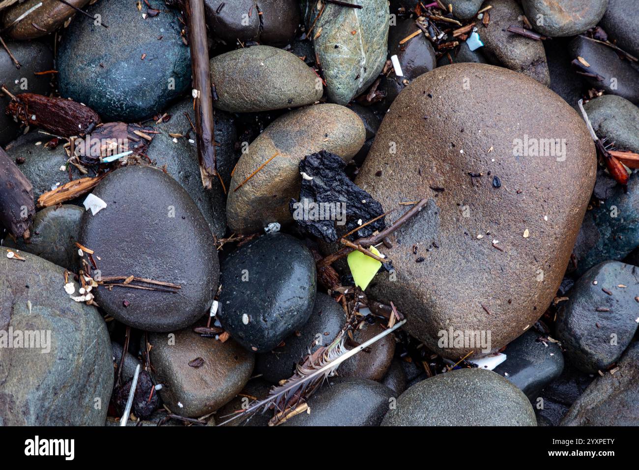 WA25991-00...WASHINGTON - Plastik wird auf den Felsen eines Küstenstrands im Olympic National Park gespült. Stockfoto