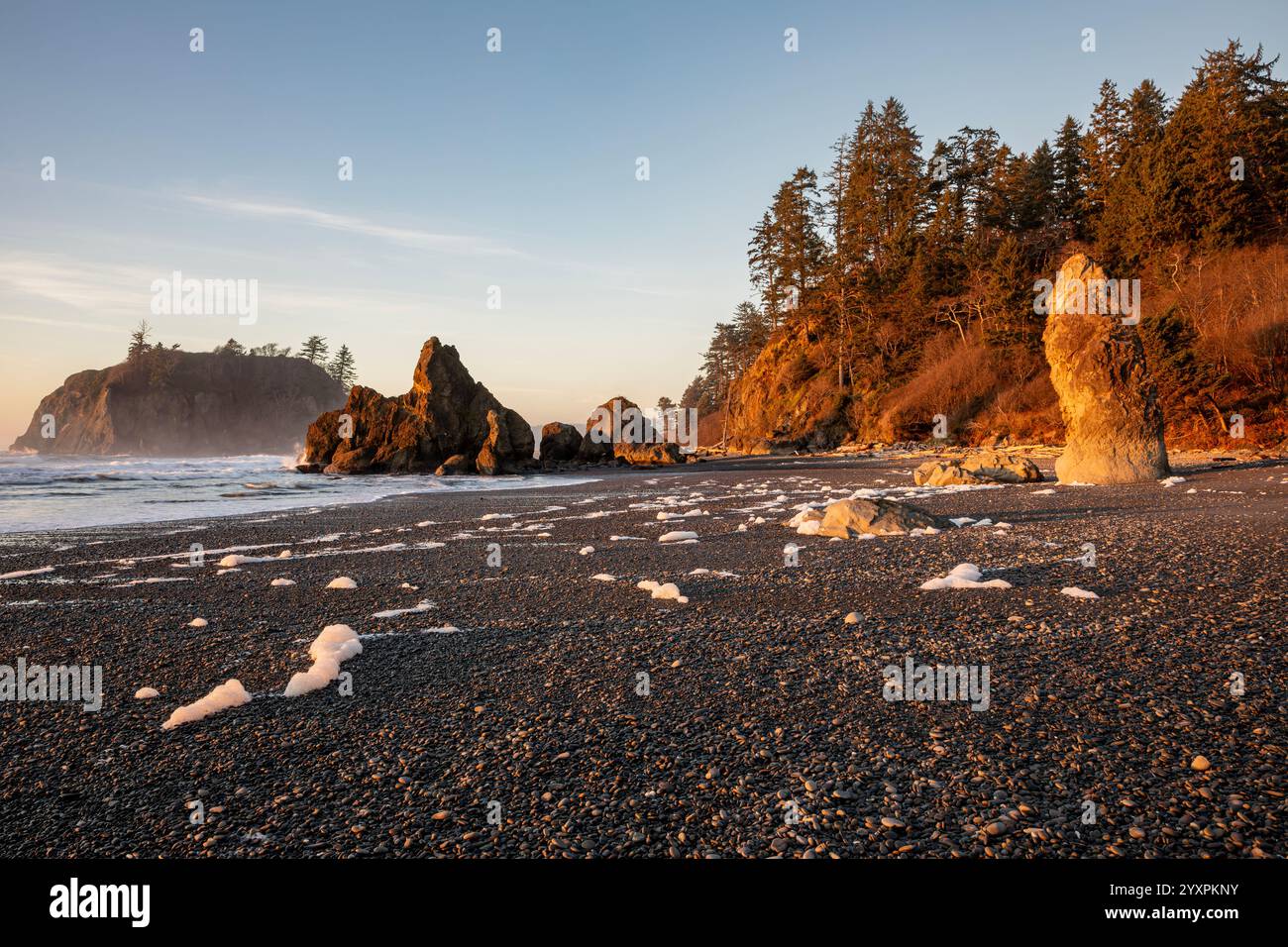 WA28051-00...WASHINGTON - am späten Nachmittag am Ruby Beach an der Pazifikküste im Olympic National Park. Stockfoto