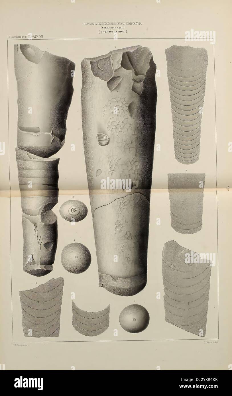 Naturgeschichte von New York, Albany, 1842-1894, Landwirtschaft, Botanik, Geologie, Naturgeschichte, Bundesstaat New York, Paläontologie, Zoologie, Muscheln, Eine Sammlung detaillierter Illustrationen, die verschiedene archäologische Artefakte darstellen, darunter ein großes, aufwändig markiertes zylindrisches Objekt, das deutlich sichtbar Kratzer und abplatzte Kanten aufweist, was möglicherweise auf seine Verwendung oder seinen Herstellungsprozess hinweist. Das Hauptartefakt wird durch mehrere kleinere, geschwungene Objekte mit markanten Texturen und Mustern sowie kugelförmige Formen ergänzt, die ihre funktionelle oder ornamentale Bedeutung nahe legen. Das Layout zeigt mich Stockfoto