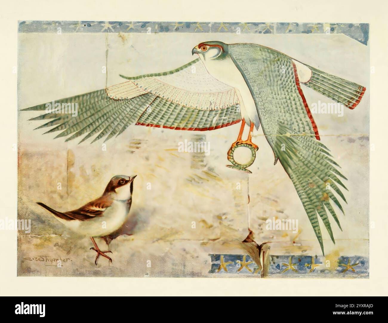 Ägyptische Vögel zum größten Teil im Niltal, London, 1909, Birds, Ägypten, Passer domesticus, Hausspatzen, Ornithologie, das Kunstwerk zeigt eine eindrucksvolle Darstellung eines großen, majestätischen Falken in der Mitte des Fluges, seine lebendigen Federn elegant verteilt und zeigt komplizierte Details seines Gefieders. Unten steht ein kleinerer Vogel aufmerksam, dessen dezentere Farben einen Kontrast zur Pracht des Falken bilden. Der Hintergrund ist mit subtilen Texturen und Mustern verziert, die auf eine antike Kultur hinweisen und möglicherweise einen Sinn für Geschichte und Mythologie wecken. Der Falke kuppelt einen Ring in seinem t Stockfoto