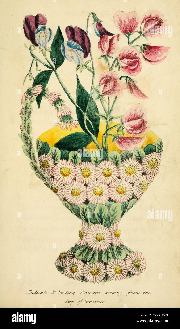 Blumenembleme, London, Saunders and Otley, 1825, Embleme, allegorische Bilder, Embleme und Abzeichen, Blumensprache, Blumen in der Literatur, Symbolismus, Heraldik, Symbole, Poesie, Blumen, Pflanzenliebe, eine wunderschön dekorierte Vase mit einer Auswahl an lebendigen Blumen. Das Arrangement umfasst Gruppen von zarten süßen Erbsen und anderen Blüten, die eine Vielzahl von Farben und Formen zeigen. Die Vase selbst ist kunstvoll gestaltet, mit komplizierten Mustern verziert und vor einem warmen gelben Hintergrund gehalten, was die visuelle Anmutung der Blumendekoration unterstreicht. Unter der Vase steht das elegante Schriftzeichen: '' Stockfoto