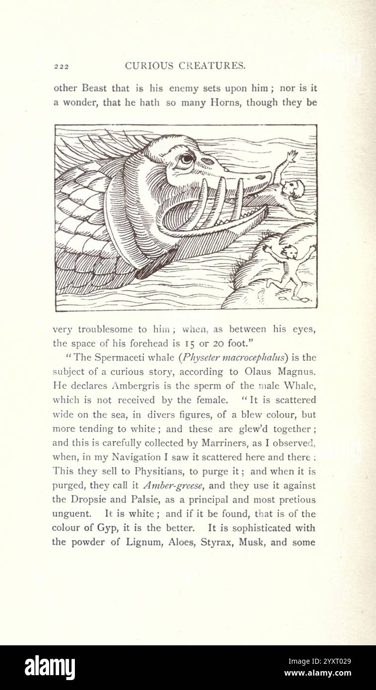 Neugierige Wesen in der Zoologie, London, John C. Nimmo, 1890 ...