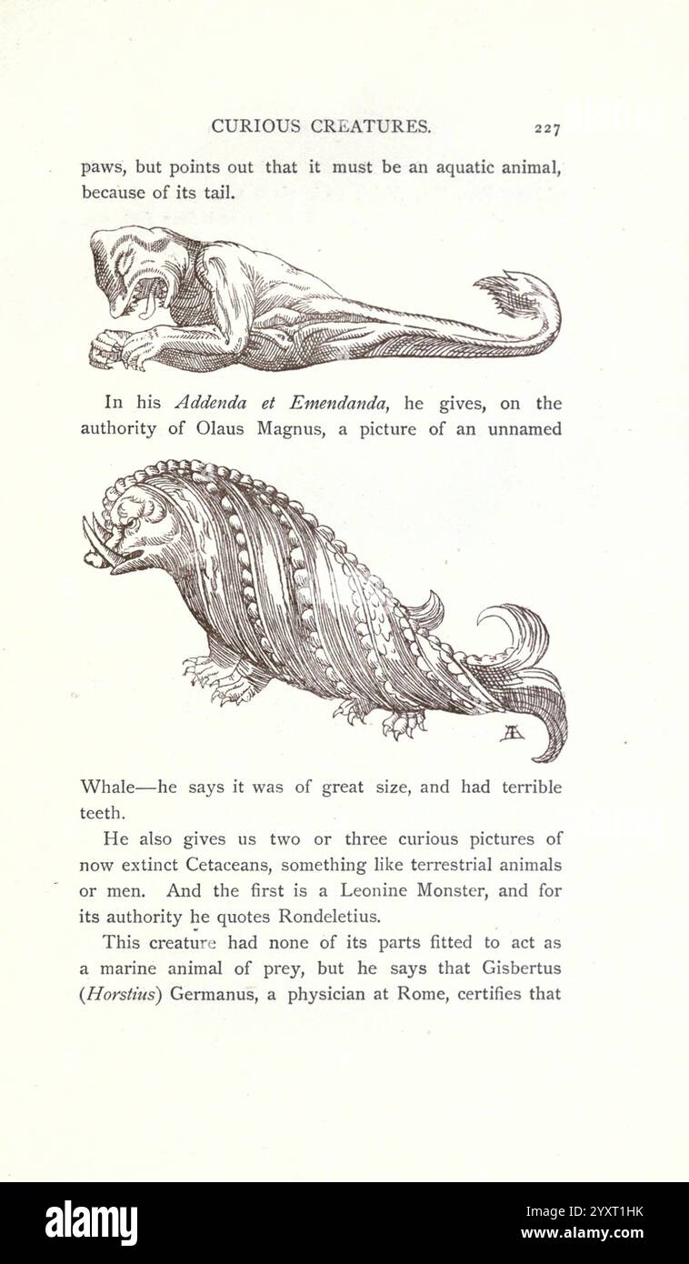 Neugierige Kreaturen in der Zoologie London John C. Nimmo 1890 Tiere Monster echte Halloween Meerjungfrau Leviathan Seite Schrecken, die Illustration zeigt ein fantastisches Wesen, bekannt als „Wal“, mit einem großen, langen Körper, der an eine Mischung zwischen einem Meerestier und einem mythischen Wesen erinnert. Sie ist mit markanten, überzogenen Zähnen und einer strukturierten Oberfläche dargestellt, die Schuppen oder Hautmuster ähnelt. Begleitet werden die Darstellungen zweier anderer rätselhafter Lebewesen, die als Landtiere beschrieben werden, aber einer anderen Klassifizierung angehören. Einer ist bekannt für seine große Rese Stockfoto