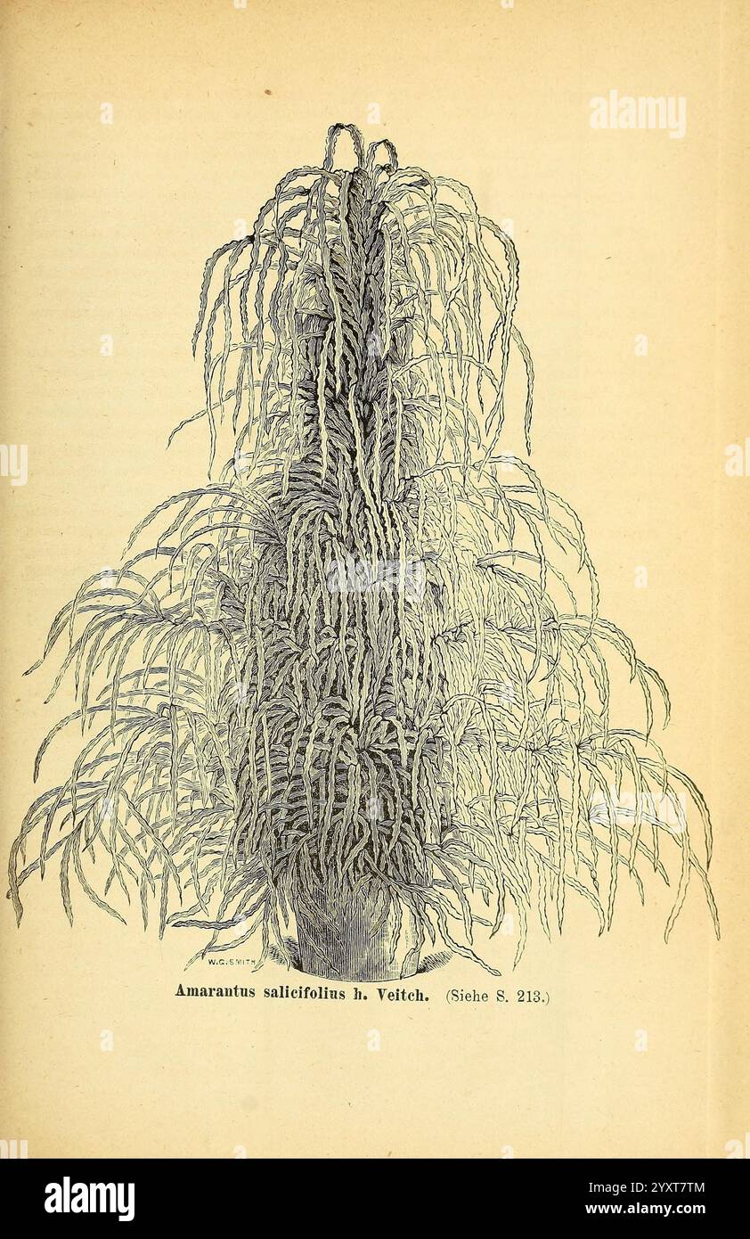 Gartenflora. Erlangen, F. Enke, 18521940, Botanik, Gartenbau