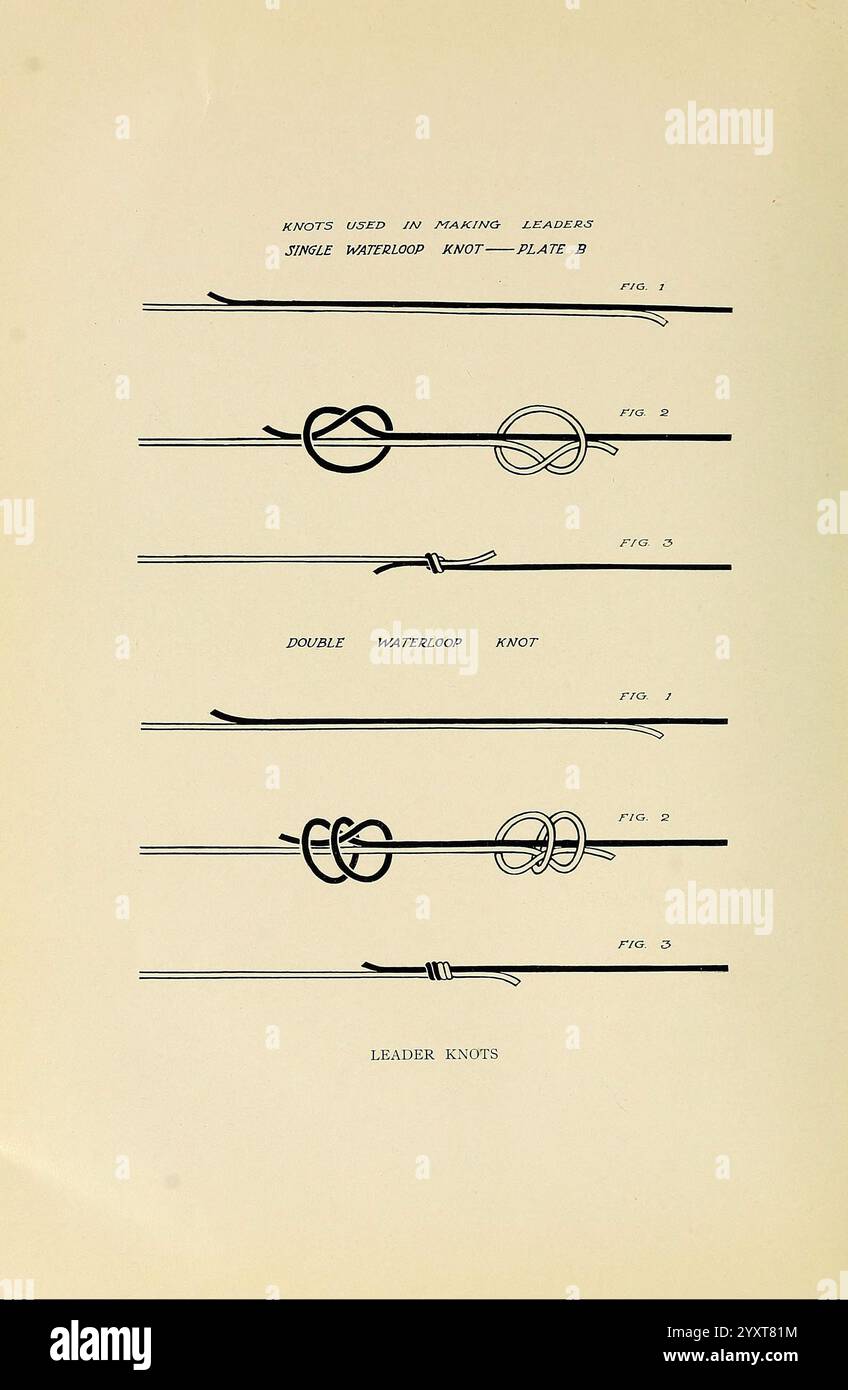 Forelle Fliegenfischen in Amerika New York E. P. Dutton & Company 1914 Fliegenguss aus dem alten Katalog Forellenfischen aus dem alten Katalog, die Abbildung zeigt verschiedene Arten von Knoten, die in Angeln von Angelführern verwendet werden. Es enthält detaillierte Schritt-für-Schritt-Diagramme zum Binden eines einzelnen Wasserschleifenknotens und eines doppelten Wasserschleifenknotens, die jeweils von klaren visuellen Hilfslinien begleitet werden, die mit „Abb. 1.jpg,'“, „Abb. 2.jpg,'“ und „Abb. 3“ gekennzeichnet sind. Darüber hinaus wird der Begriff „LEADER KNOTENS“ deutlich hervorgehoben, was darauf hindeutet, dass der Schwerpunkt auf wichtigen Techniken für die Schaffung starker Verbindungen in den Fangschlangen liegt. Das Gesamtlayout ist A strukturiert Stockfoto