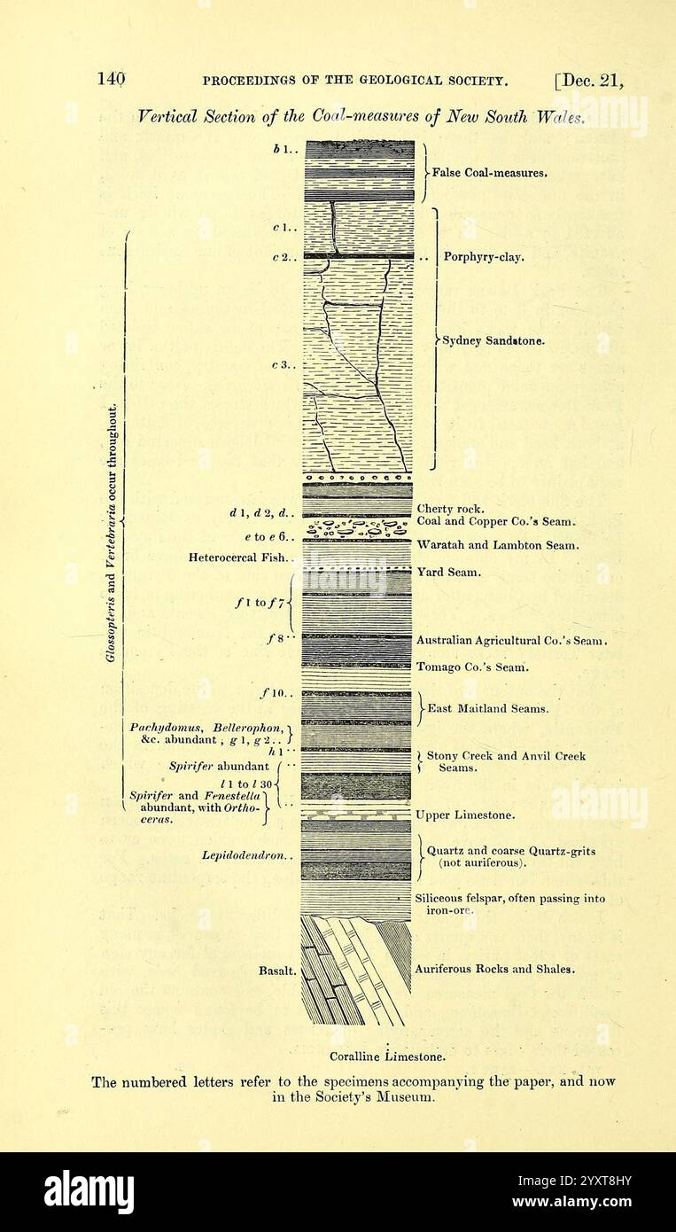 The Quarterly Journal of the Geological Society of London, v.21 (1865) London, Geologie, Periodika, Ein detailliertes geologisches Protokoll, das verschiedene stratigraphische Schichten mit beschrifteten Abschnitten veranschaulicht. Das Diagramm zeigt eine Reihe von Sedimentschichten, die jeweils durch unterschiedliche Texturen und Farben gekennzeichnet sind, was unterschiedliche geologische Merkmale angibt. Etiketten beschreiben die Zusammensetzung und Tiefe jeder Schicht und heben Elemente wie Sandstein, Kalkstein und Schiefer hervor. Der untere Abschnitt enthält Erläuterungen und Hinweise auf geologische Techniken, die die Bedeutung der Stratigraphie in Understanding betonen Stockfoto