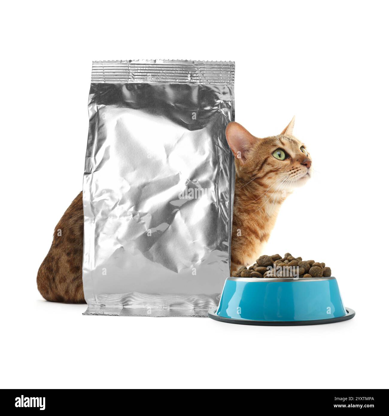 Niedliche Katze, die neben Folienpaket und Schüssel mit trockenem Tierfutter auf weißem Hintergrund sitzt Stockfoto