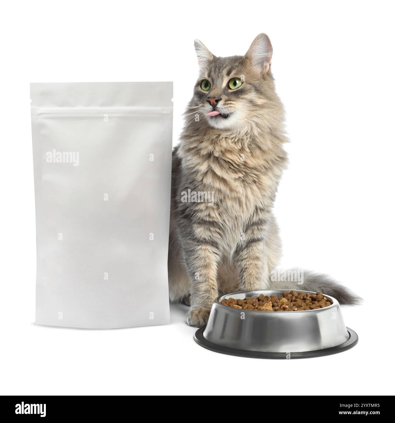 Niedliche Katze, die in der Nähe von Paket und Schüssel trockenem Tierfutter auf weißem Hintergrund sitzt Stockfoto