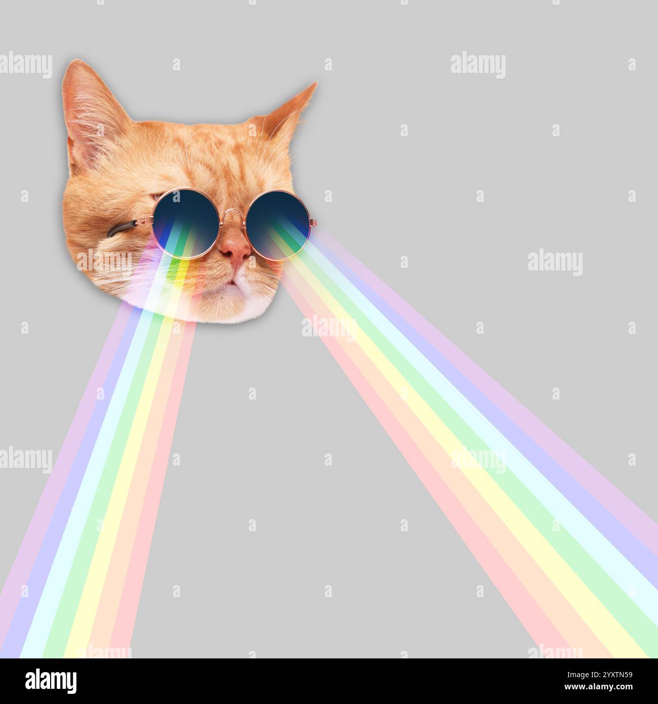 Katze in Sonnenbrille, die mit Regenbogenlasern aus Augen auf grauem Hintergrund fotografiert. Stilvolles Poster Stockfoto
