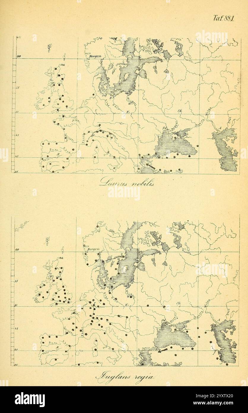 Gartenflora. Erlangen, F. Enke, 1852-1940, Botanik, Gartenbau, Deutschland, Zeitschriften, Pflanzen, Zierpflanzen, Karte, Laurus Nobilis, diese Abbildung zeigt zwei detaillierte Karten. Die oberste Karte trägt die Bezeichnung „Laminas nobiles“, die verschiedene Regionen und Orte mit markierten Punkten zeigt, die möglicherweise wichtige geologische oder biologische Stätten anzeigen. Die untere Karte mit dem Titel „Englanta regia“ zeigt ein ähnliches Layout und weist auch auf bemerkenswerte Orte mit präzisen Markierungen hin. Jede Karte enthält ein Raster für die Orientierung und den geografischen Kontext, das Einblicke in die Abdeckung und Verteilung des su bietet Stockfoto
